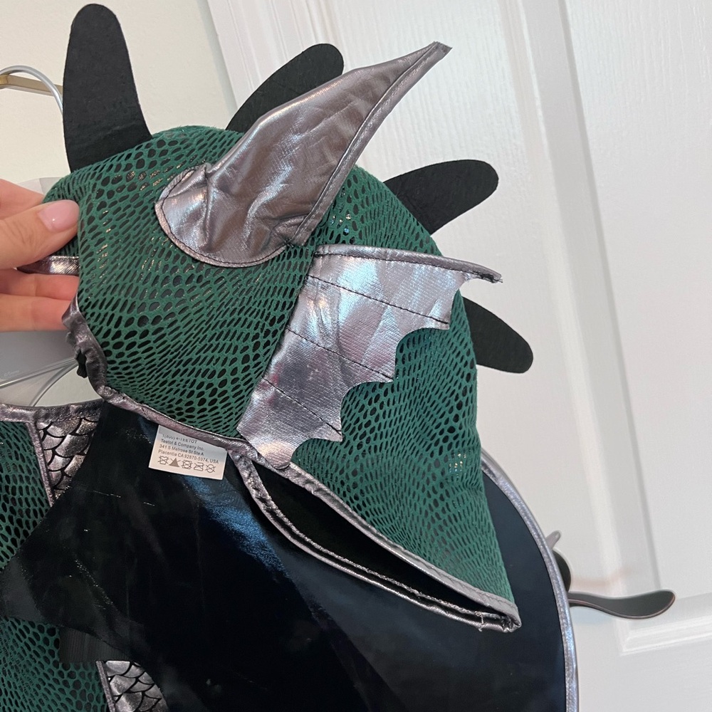 Kids Dragon Costume - Picture 2 of 3